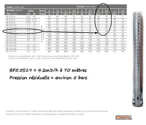 BF5.5 S 19 avec moteur EBARA 1.5KW