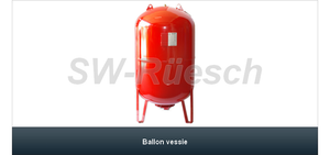 Ballon Vessie